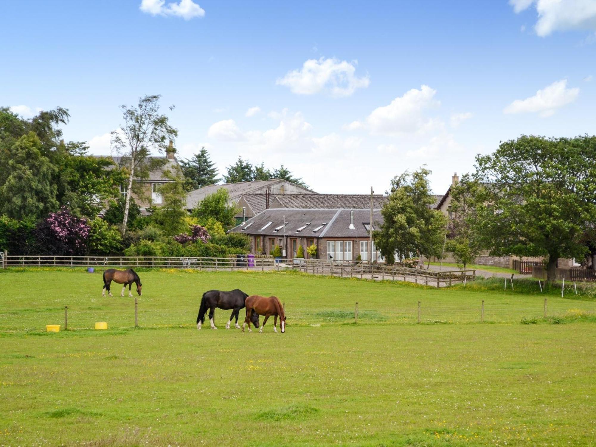 Appletree Cottage Kirkton of Tealing Екстериор снимка