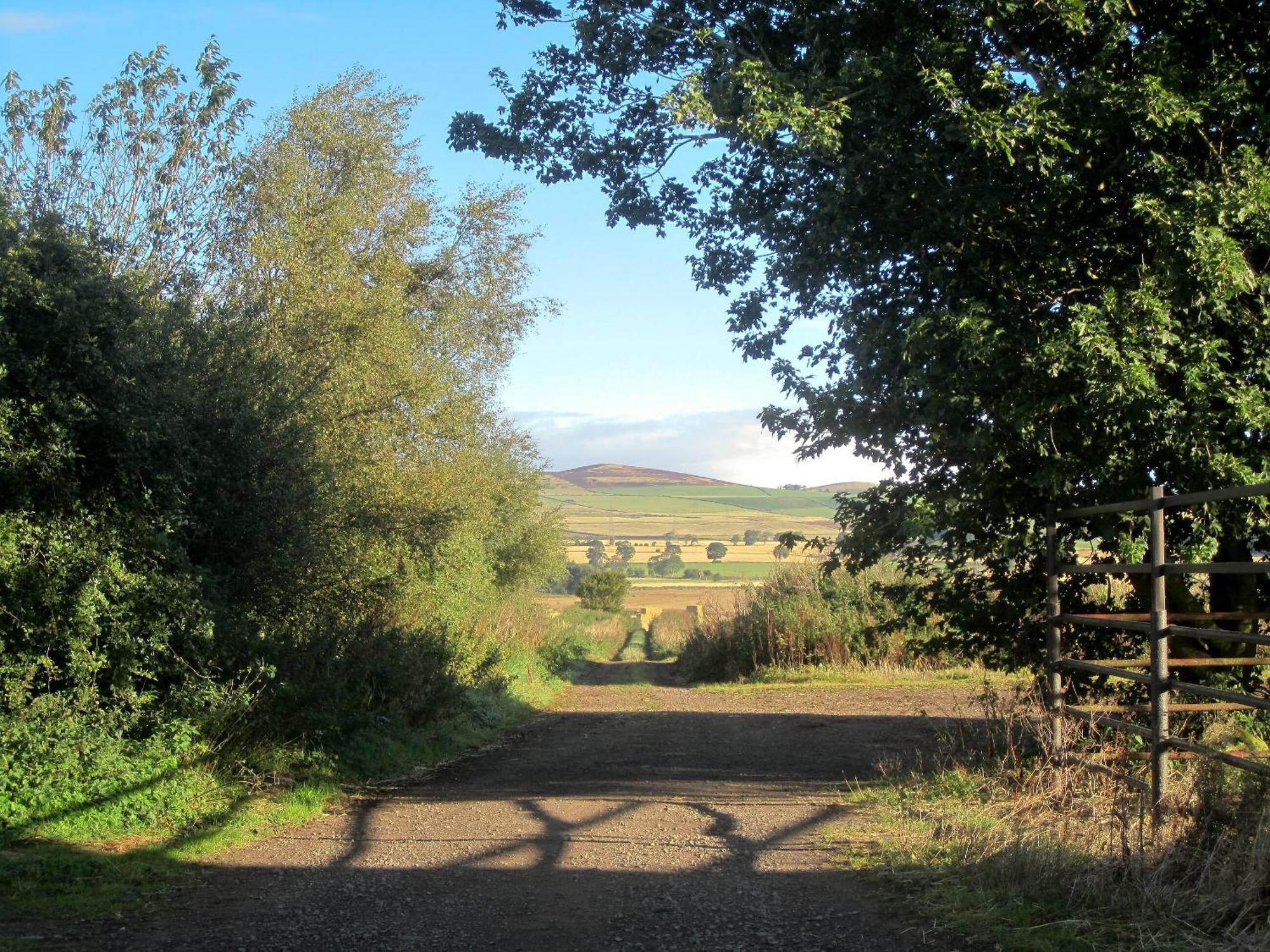 Appletree Cottage Kirkton of Tealing Екстериор снимка