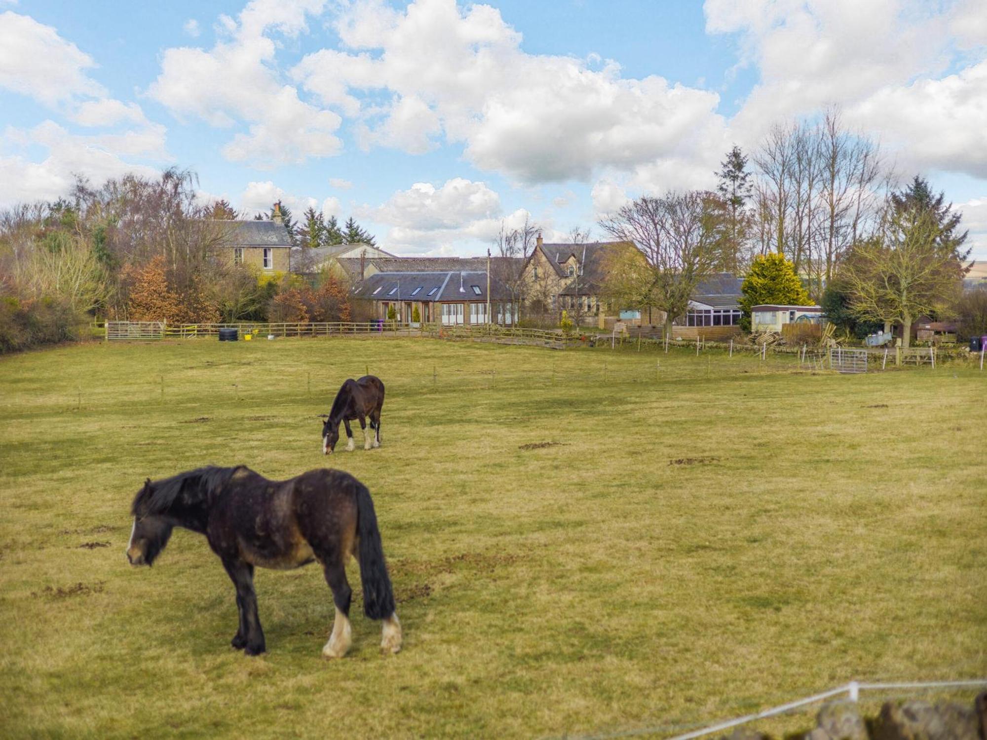 Appletree Cottage Kirkton of Tealing Екстериор снимка